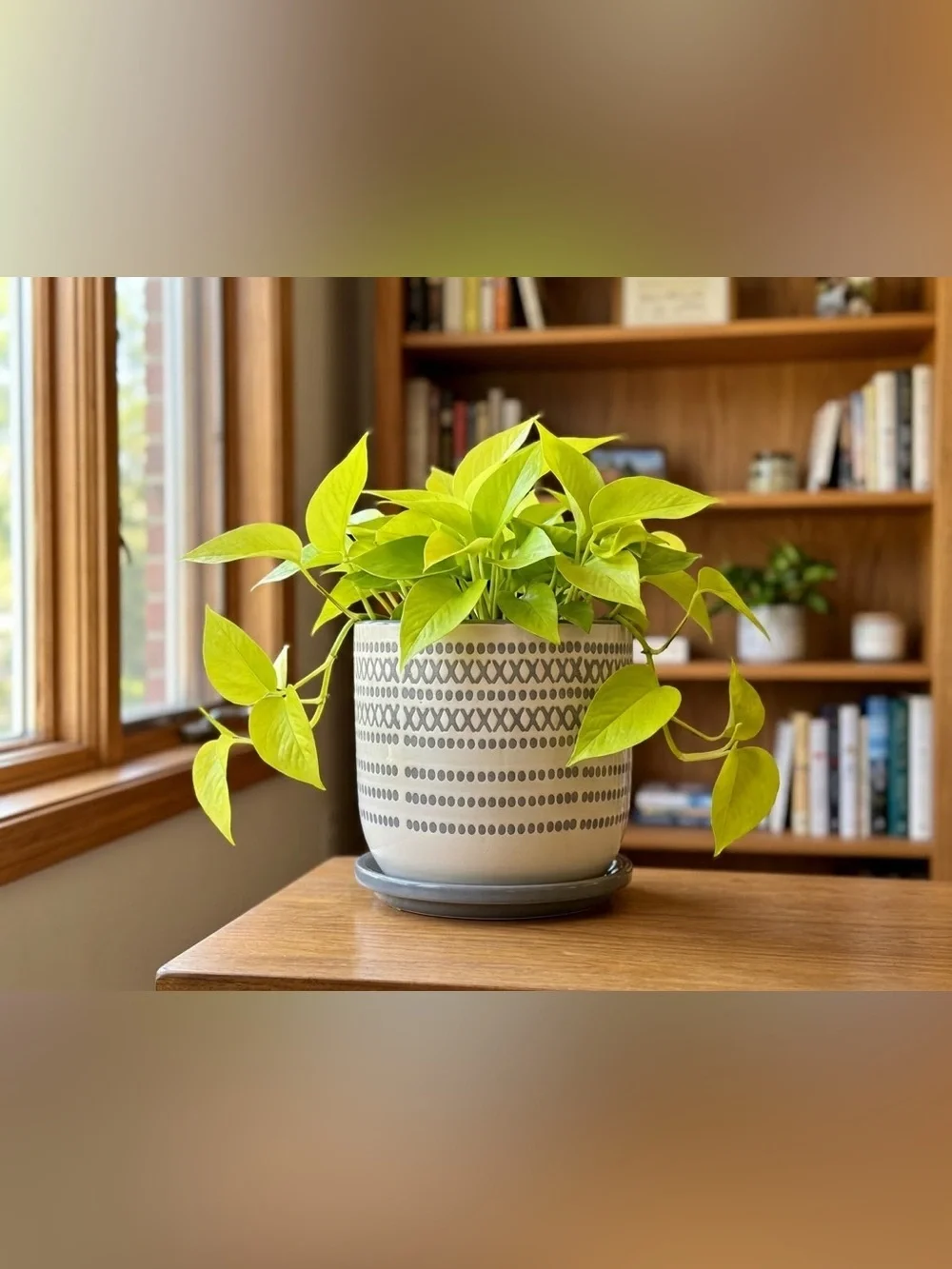 White Gray Ceramic Planter with Saucer 6 Inch Indoor Outdoor Pot Drainage